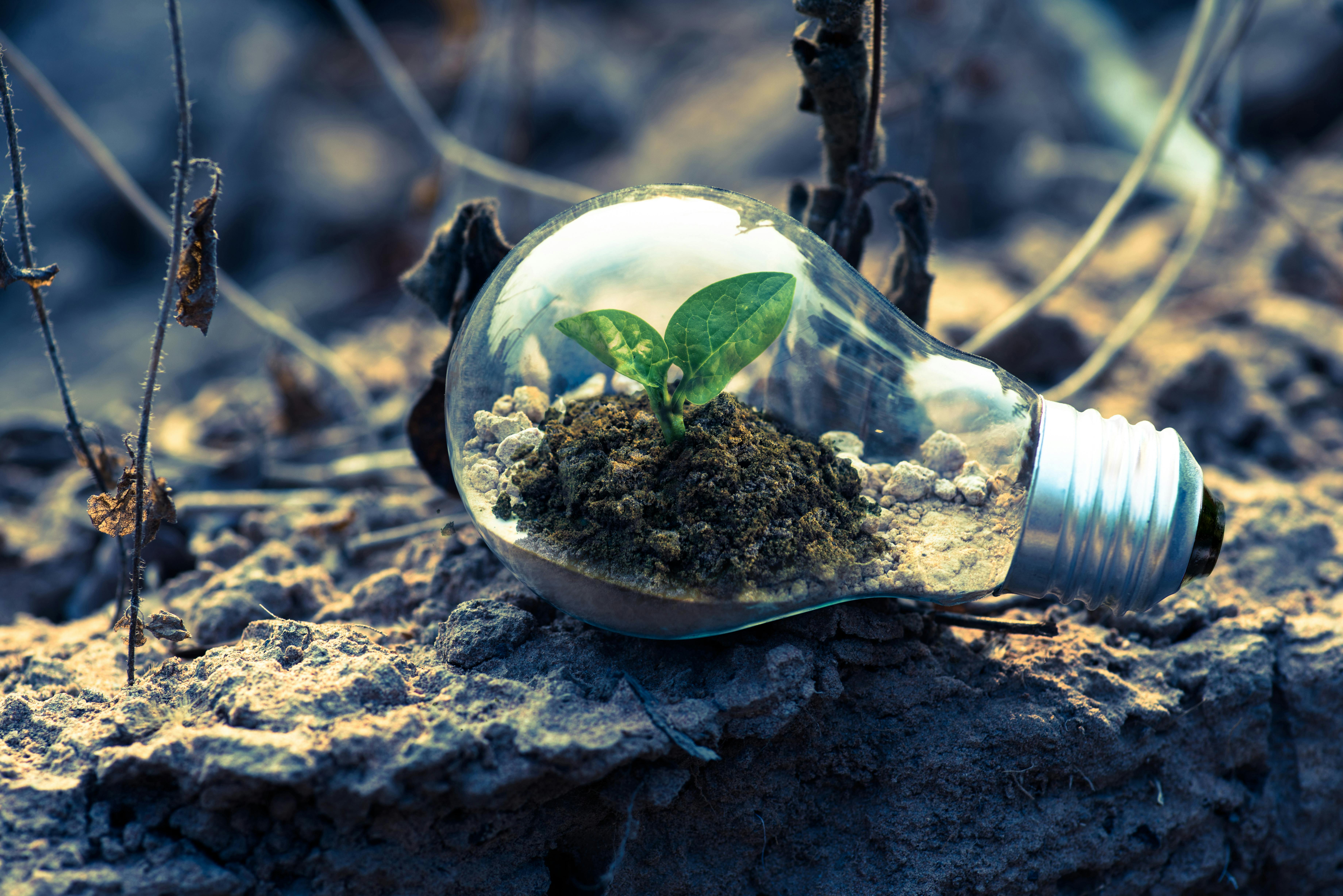 9 Simple Ways Small Businesses Can Make a Big Eco